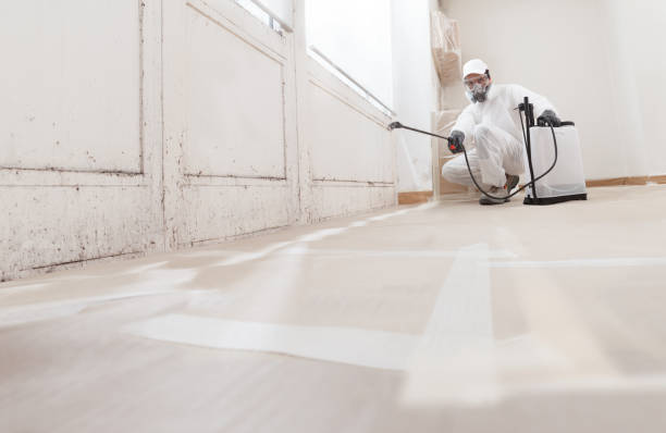 24/7 Emergency Mold Removal experts in Monmouth Junction, NJ
